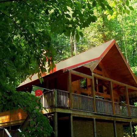 Alpine Joy-Hot Tub, Pond Access ,1089 Of Free Tickets For Each Paid Day, Dollywood And More! Townsend Exteriér fotografie