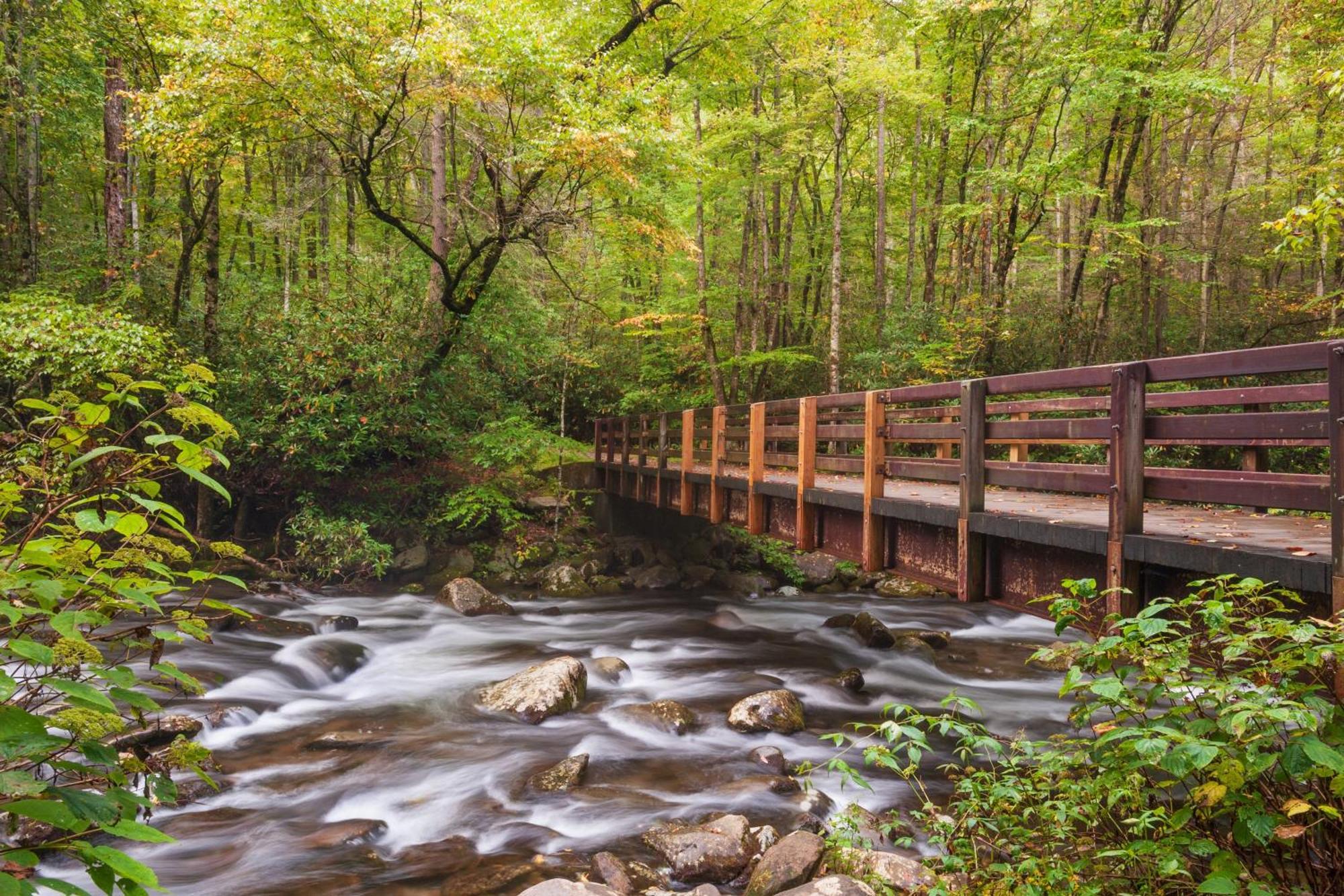 Alpine Joy-Hot Tub, Pond Access ,1089 Of Free Tickets For Each Paid Day, Dollywood And More! Townsend Exteriér fotografie