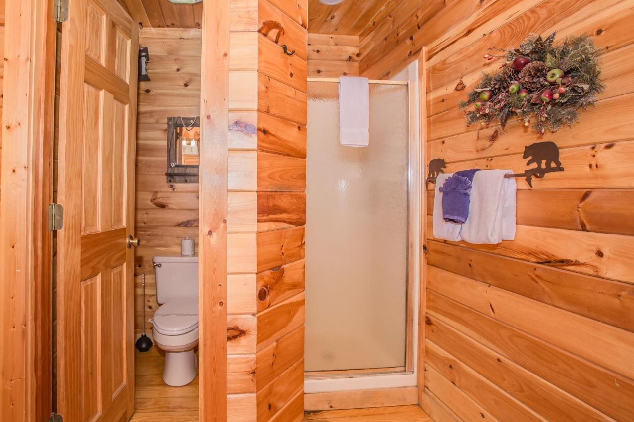 Alpine Joy-Hot Tub, Pond Access ,1089 Of Free Tickets For Each Paid Day, Dollywood And More! Townsend Exteriér fotografie