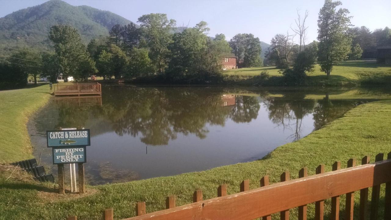 Alpine Joy-Hot Tub, Pond Access ,1089 Of Free Tickets For Each Paid Day, Dollywood And More! Townsend Exteriér fotografie